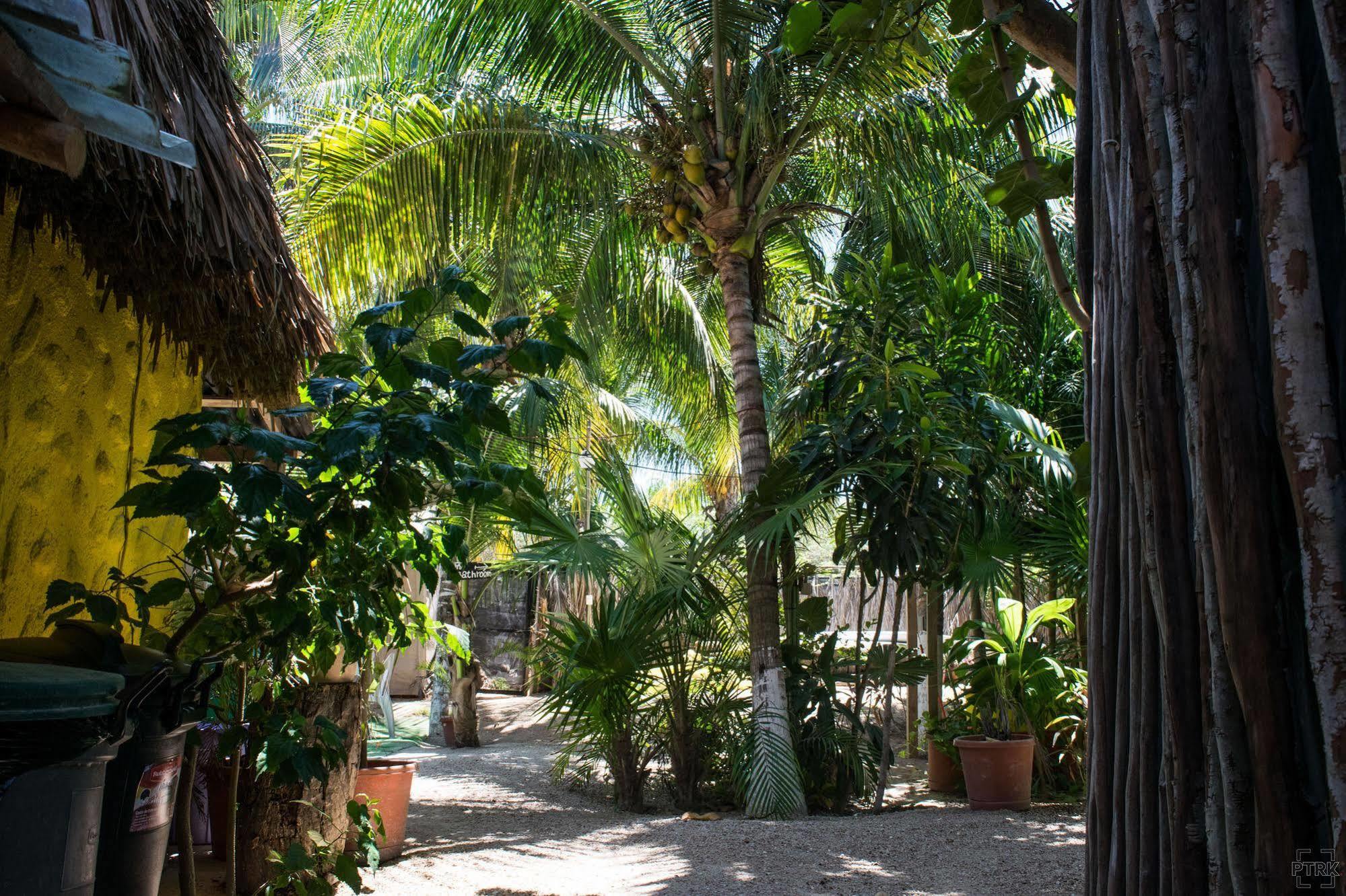 Casa Maya Holbox מראה חיצוני תמונה